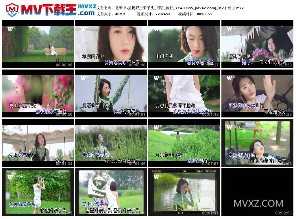 张雅卓-捕捉野生栗子头_国语_流行_YEA00385